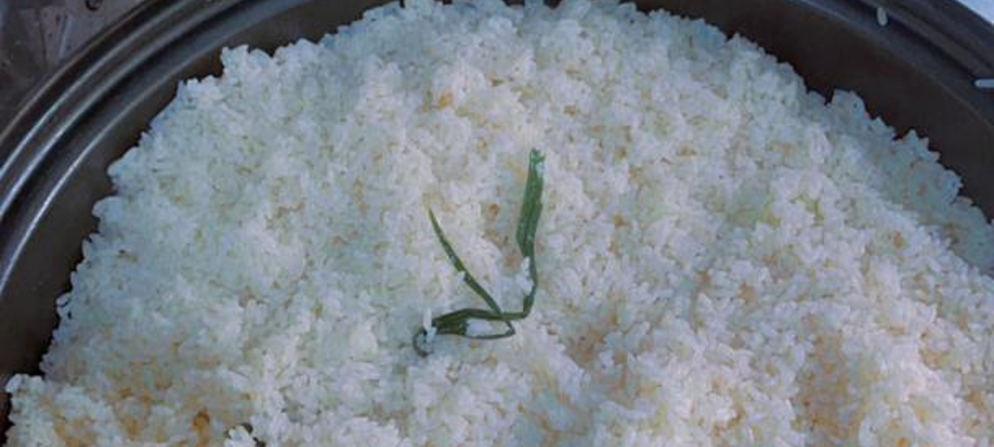 Large pot of freshly cooked rice for the community