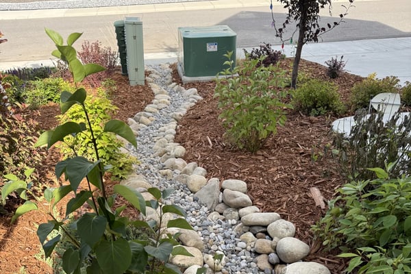 Softscapes & Planting