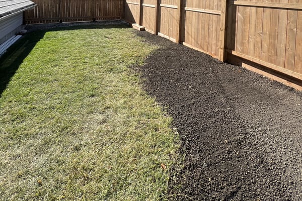 Softscapes & Planting