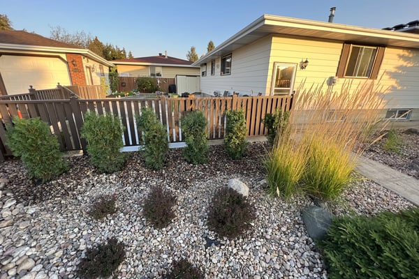 Softscapes & Planting