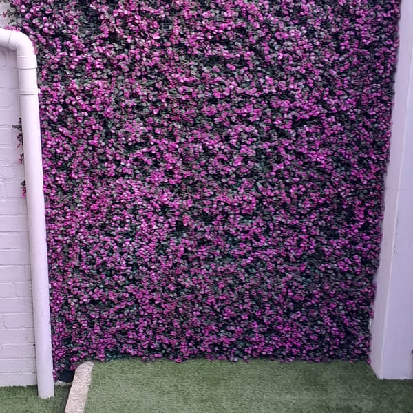 Smart Grass Artificial Hedges installation