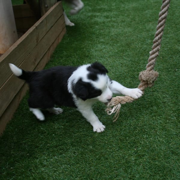 Smart Grass Gardens & Play Areas installation