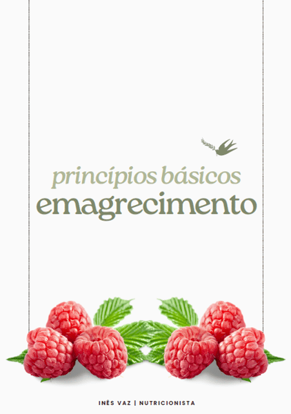 Princípios Básicos do Emagrecimento