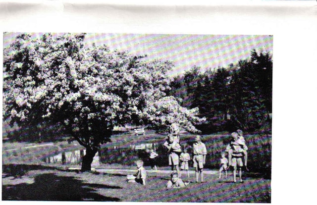 Parken