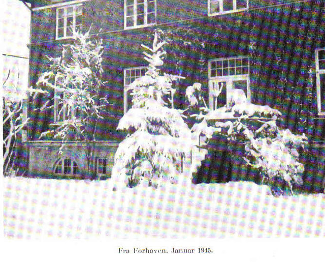 Forbundshaven