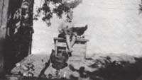 Laurits fodrer sine dyr