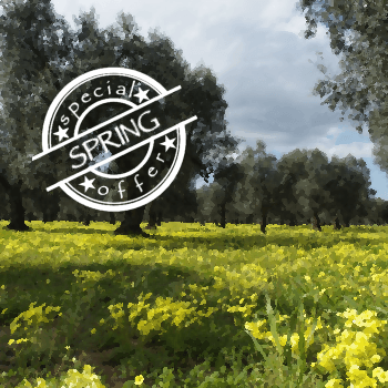 Offerta primavera
