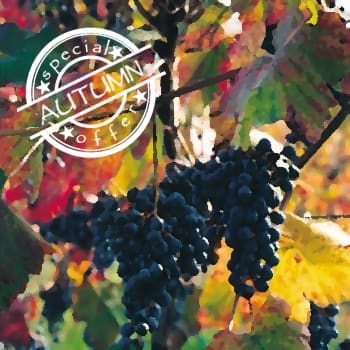 Offerta autunno