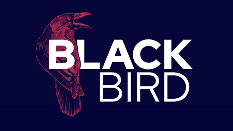 Black Bird Events