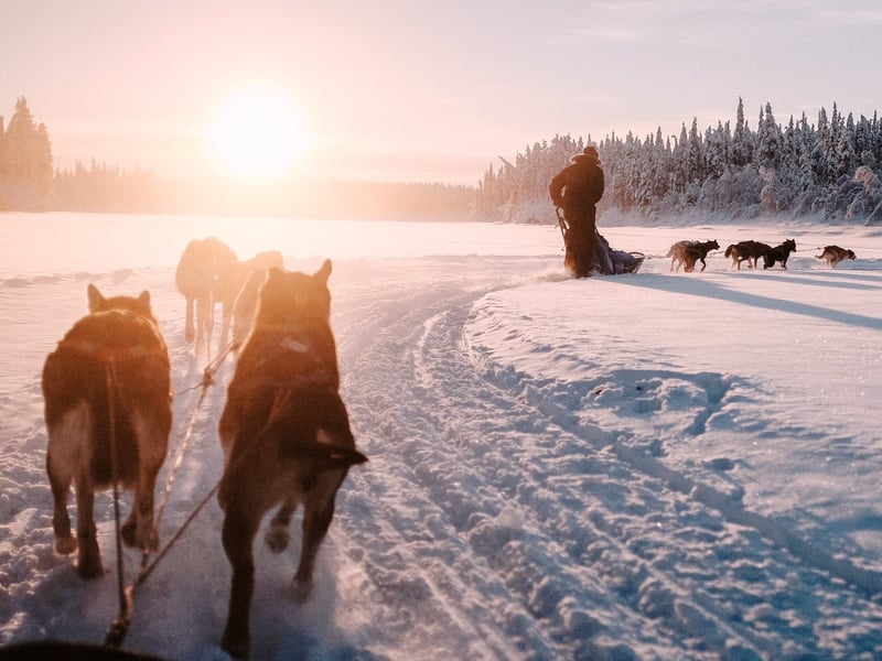 Hoge noo(r)d aan verbinding: Nordic betovert met once in a lifetime bedrijfsincentives in het Hoge Noorden “Op dat moment is iedereen weer gewoon mens”