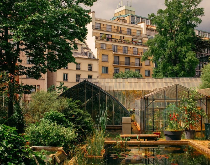 Binnen de geheime tuinen van Parijs: hoe rooftop rewilding-projecten de stad vergroenen