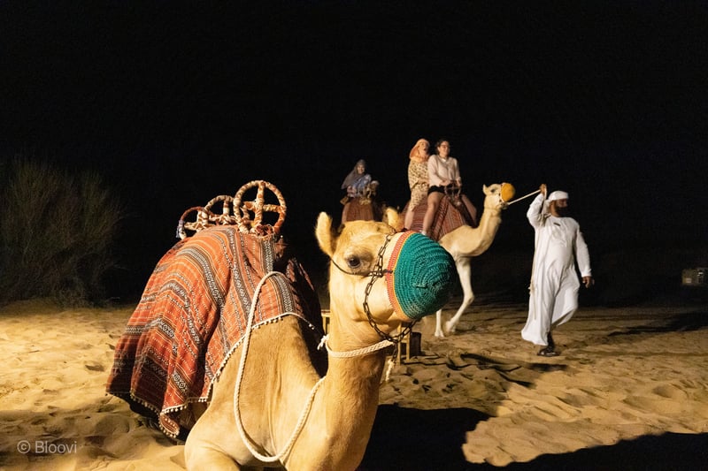 Wereldexpo Dubai foto 68
