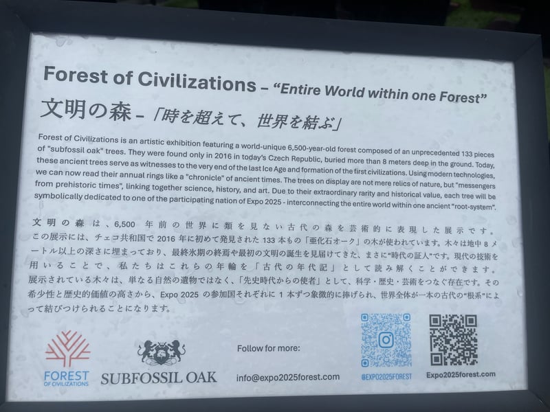 Wereldexpo Japan 2025 foto 34