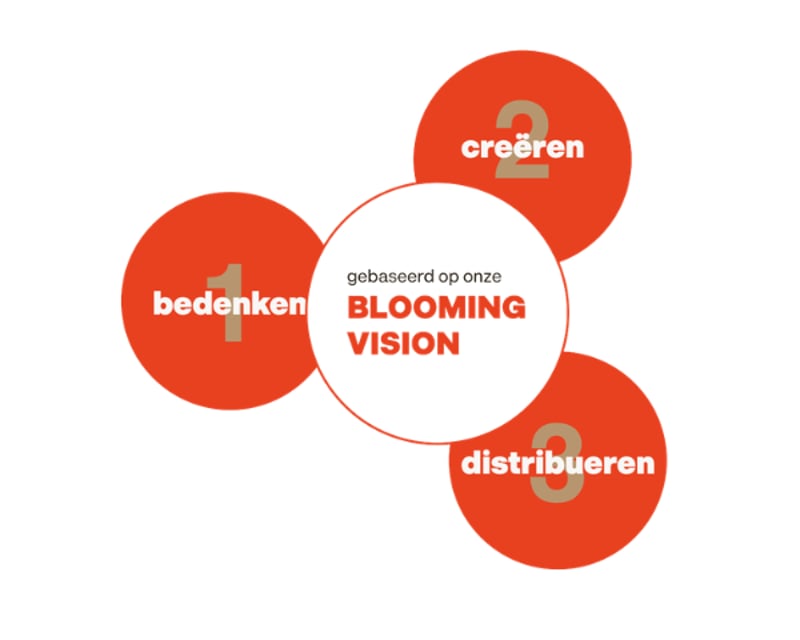 3 stappen Bloovi Brand Studio