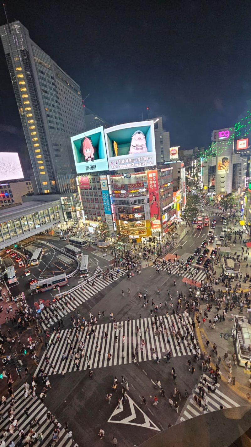 Wereldexpo Japan 2025 foto 9