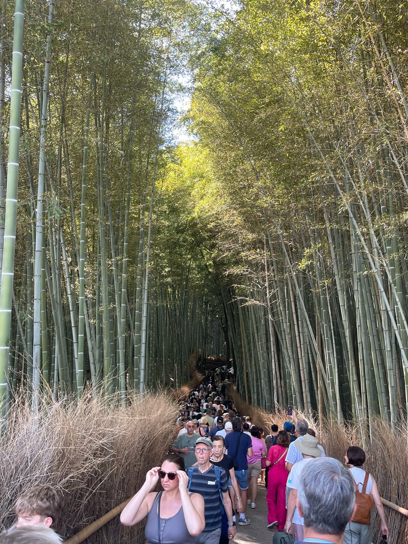 Wereldexpo Japan 2025 foto 70