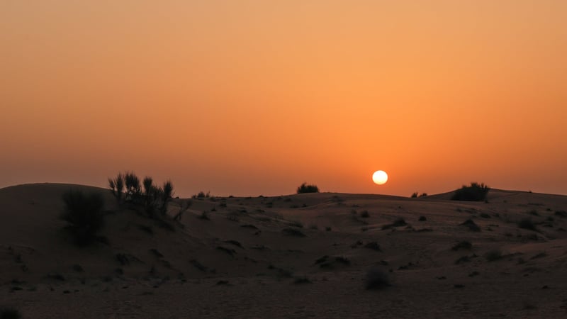 Wereldexpo Dubai foto 69