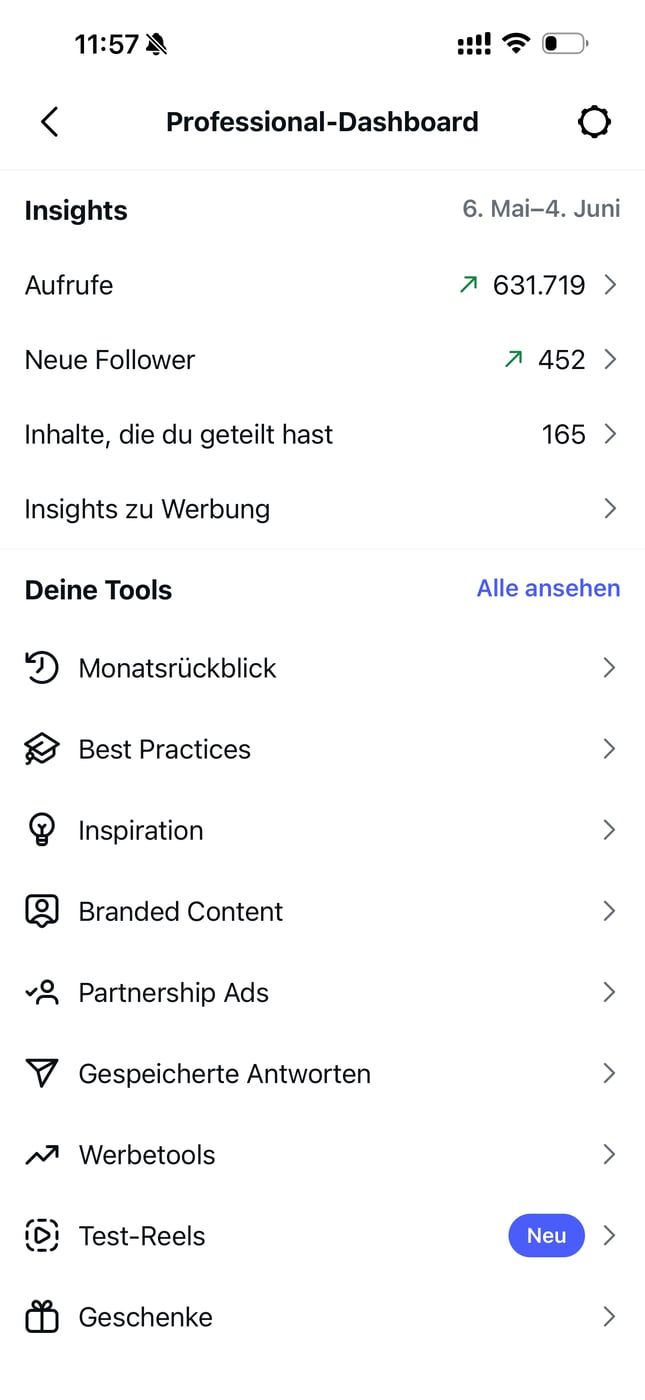 Instagram Professionelles Dashboard