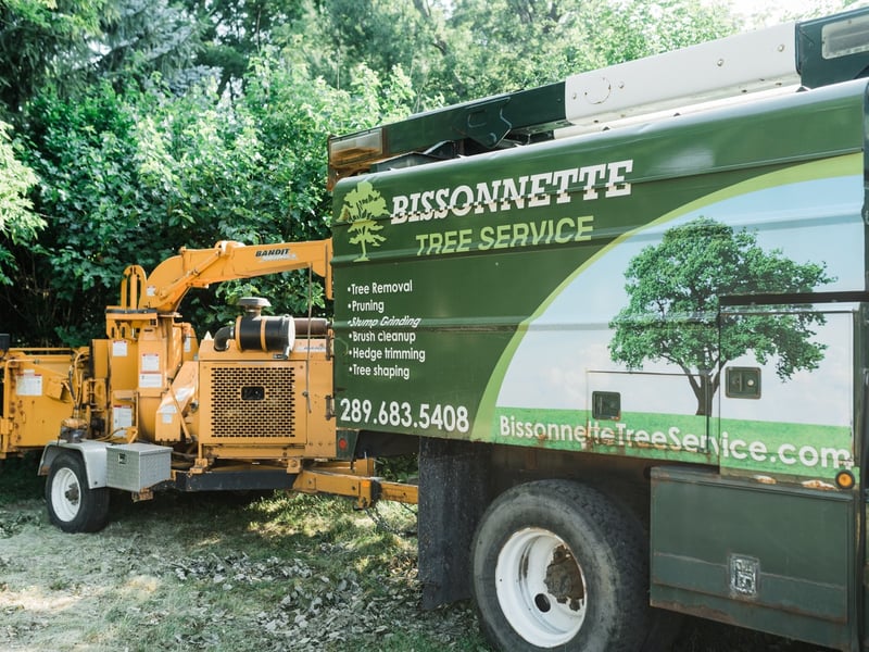 Bison Tree Service branded truck and chipper