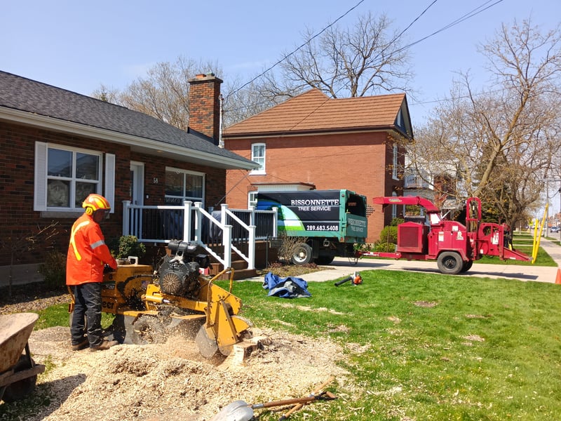 Stump grinding at a residential property
