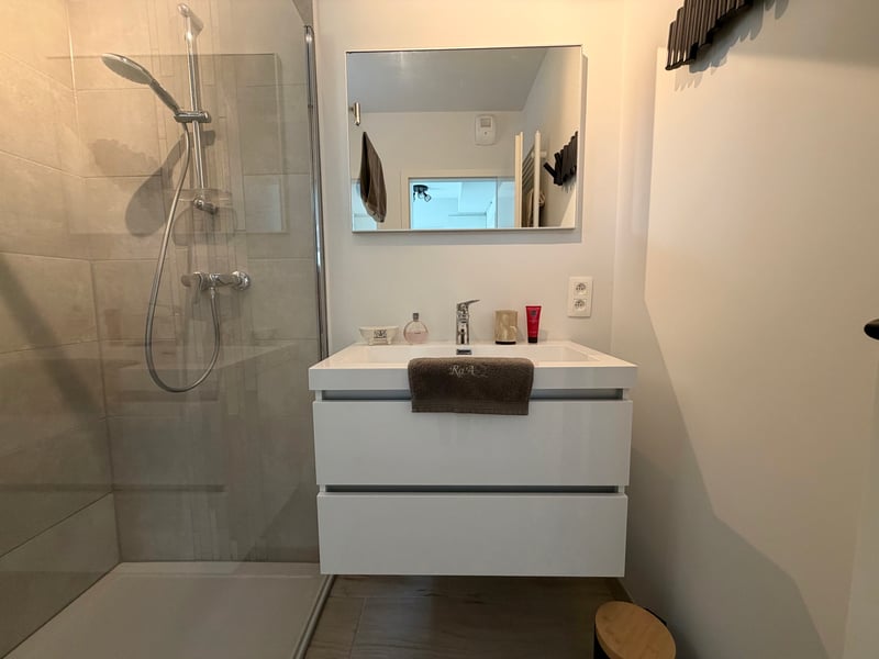 Badkamer beneden met inloopdouche