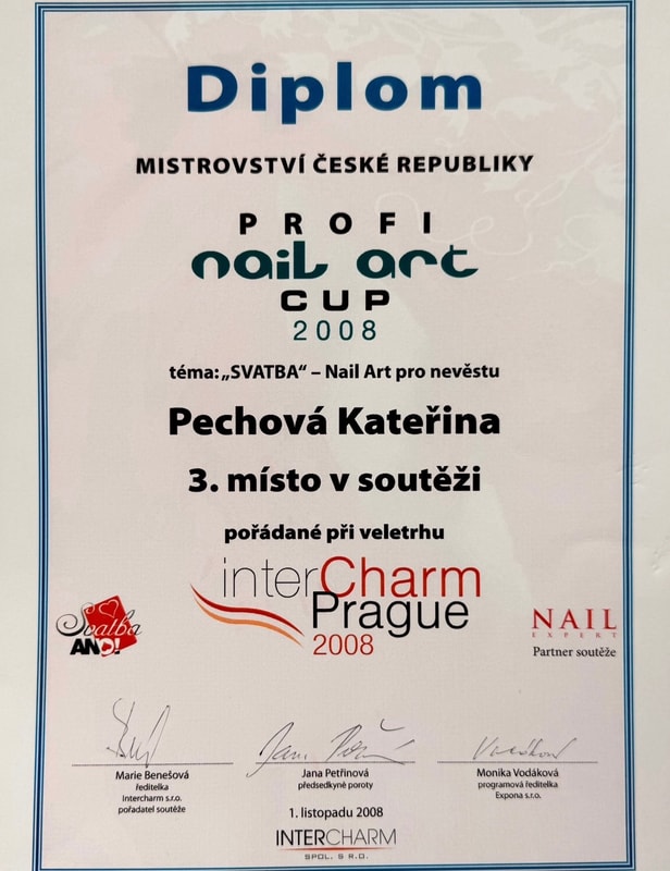 Profi Nail Art Cup 2008 - Diplom
