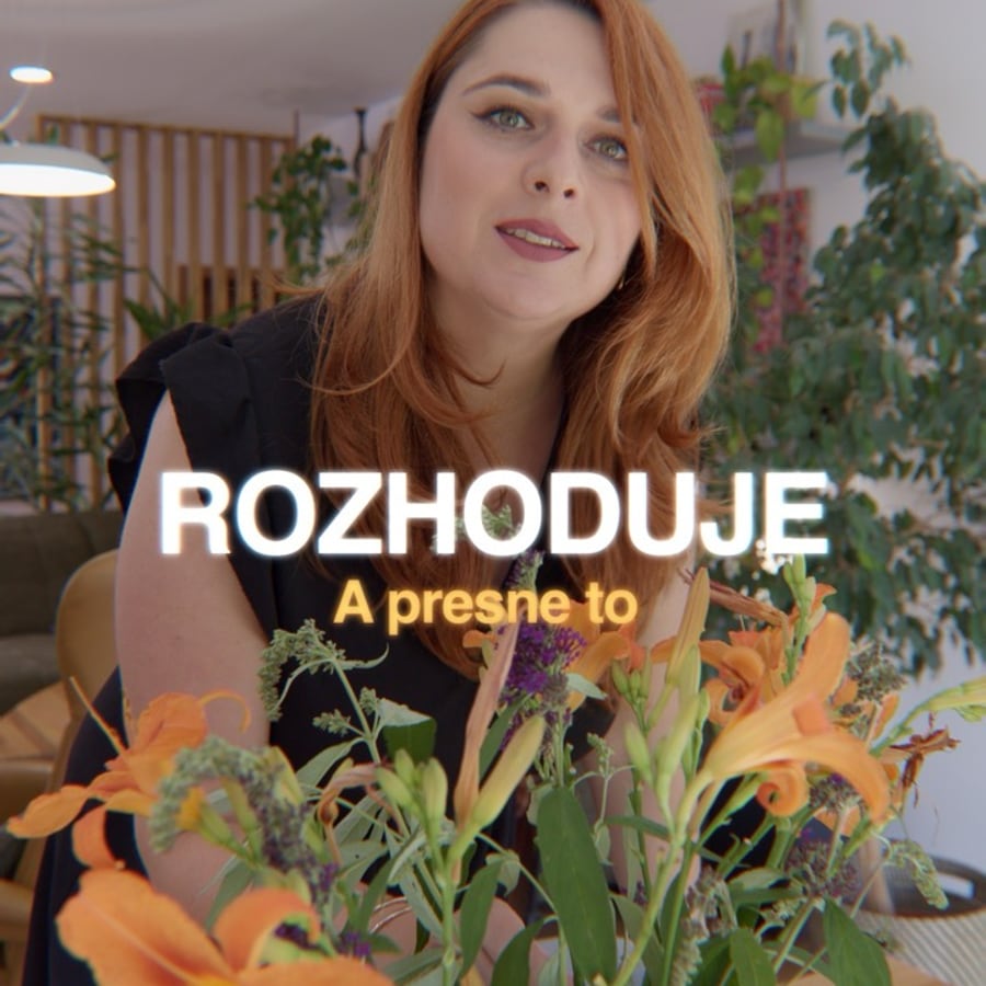 Ukážka krátkeho obsahu pre sociálne siete
