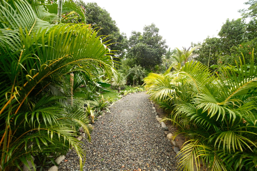 Sora — Garden View