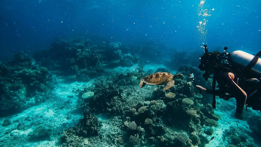 Ultimate Cairns Travel Guide: 15 Things to Do in Cairns