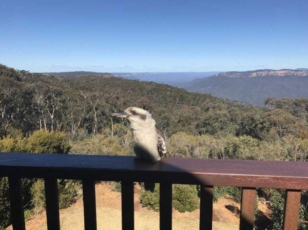 Beyond Sydney: Exploring the Blue Mountains’ Charming Bed and Breakfasts