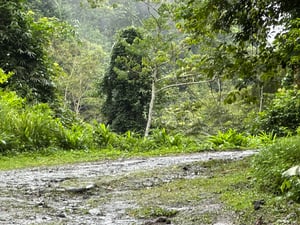 Vista panorâmica das estradas da ilha de São Tomé