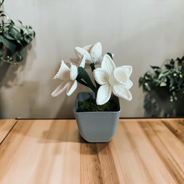 Handmade Crochet White Daffodils in Pot — Everlasting Artificial Flowers