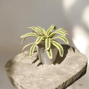 Crochet Spider Plant Decorative Ornament