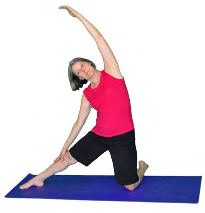 Parigasana, Gate
