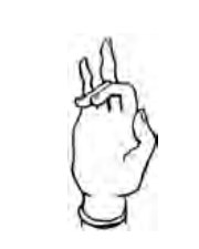 Sandamsa Mudra hand position