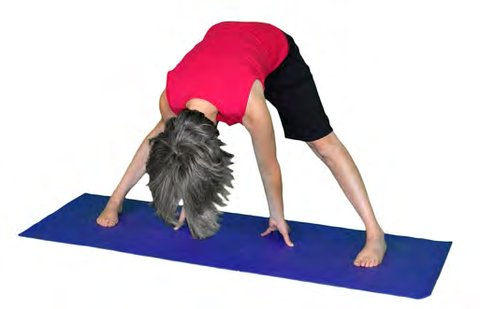 Prasarita Padottanasana, Intense Separate Leg Stretch