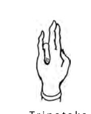 Anjali Mudra hand position