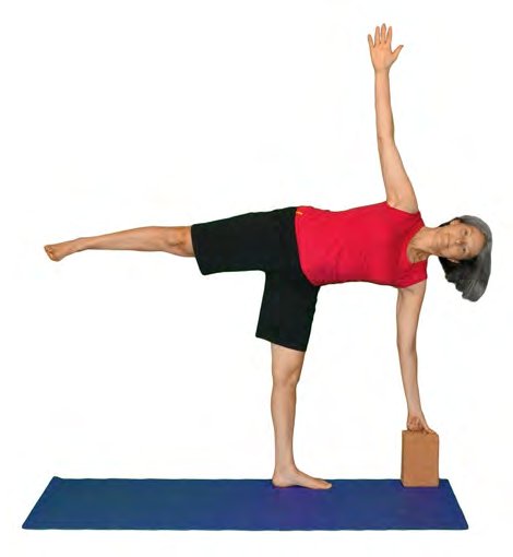 Dandamaya Ardha Chandrasana, Half Moon