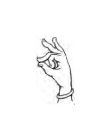 Alapadma Mudra hand position