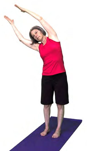 Tadasana Urdvha Hastasana, Standing Side Bend