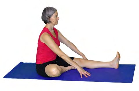 Janusirsasana I, Head to Knee Pose