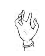 Hakini Mudra hand position
