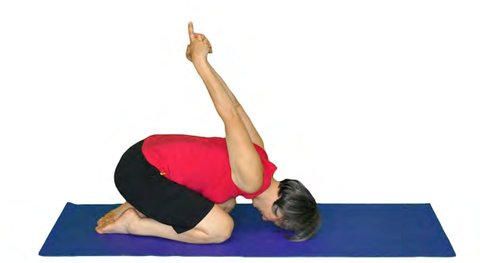 Yoga Mudra, Seated Symbol of Yoga