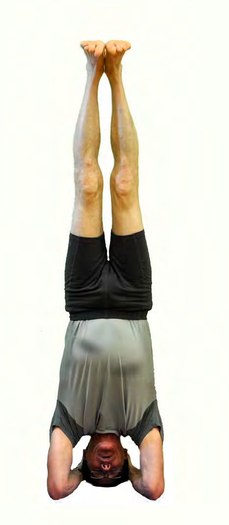 Sirsasana, Supported Headstand