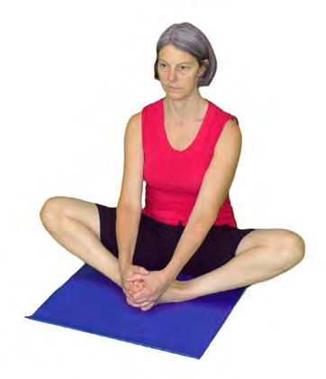 Baddha Konasana, Bound Angle