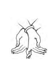 Kartarisvastika Mudra hand position