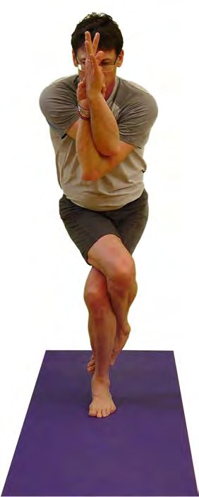 Garudasana, Eagle