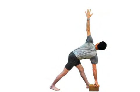 Parivritti Trikonasana, Revolved Triangle