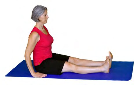 Dandasana, Stick/Staff Pose