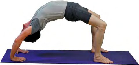 Urdhva Dhanurasana, Upward Facing Bow